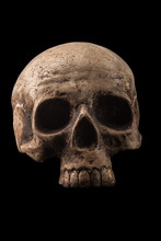 Bone Skull On A Black Background