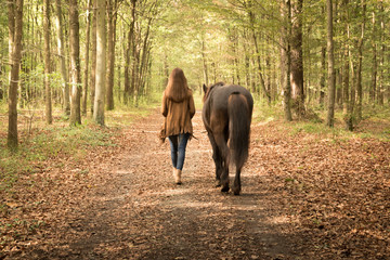 Spaziergängerin mit Pferd