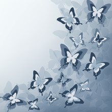 Stylish Grey Background With Butterfly