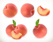 Peach. Sweet fruit. 3d vector icons set. Realistic illustration