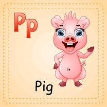 Animals Alphabet: P Is For Pig