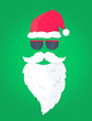 © gpointstudio - Face of Santa Claus on green background
