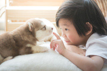 asian child playing with siberian husky puppy