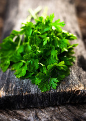 Wall Mural - Fresh green parsley on  wooden background