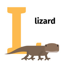 English Animals Zoo Alphabet With Letter L. Lizard Vector Illustration