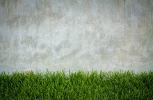 Vintage Background Of Green Grass Frame And Concrete Wall Texture. Grunge Vintage Background Of Green Grass And Concrete Texture.