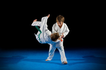 Wall Mural - Little boys martial arts fighters