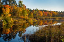 Early October, Late Golden Afternoon Sunshine On Cory Lake In Chalk River Ontario, Canada.