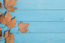 Autumn Background With Blue Wooden Board