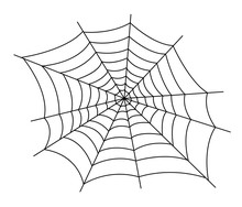 Spider Web Vector Illustration