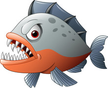 Angry Piranha Cartoon
