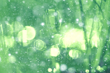  Green background bokeh blurred glare rain