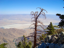 View From The Top Of The Palm Springs Aerial Tramway
