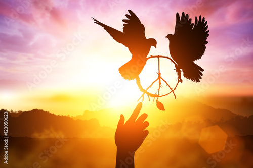 Foto Silhouette of one hand desire to peace sign shape