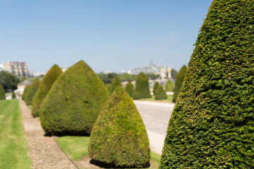 Wall Mural - Invalides Garden