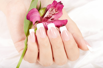 Wall Mural - Hand with long artificial french manicured nails and lily flower