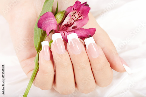 Fotografie, Obraz Hand with long artificial french manicured nails and lily flower