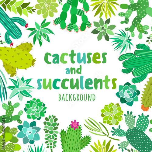 Cute Cactus And Succulent Vector Frame Banner Card Invitation