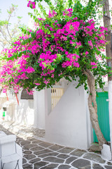  Wąskie uliczki z niebieskimi balkonami, schodami, białymi domami i kwiatami w pięknej wiosce w Grecji. Piękna architektura na zewnątrz budynku w stylu cykladzkim na Mykonos