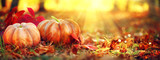 Fototapeta  - Autumn Halloween pumpkins. Orange pumpkins over bright autumnal nature background