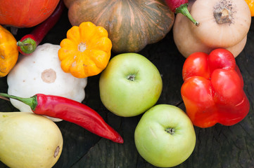 Wall Mural - Vegetables, harvesting