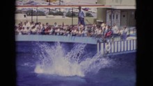 1968: Watching Dolphins Perform At The Aquarium COTTONWOOD, ARIZONA