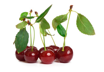 Wall Mural - Cherry isolated on white background