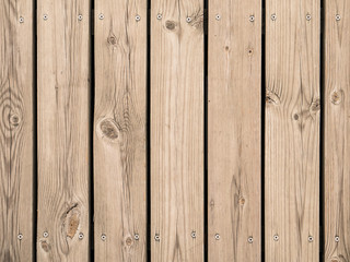 Wall Mural - timber wood background