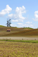 Canvas Print - Barn in field