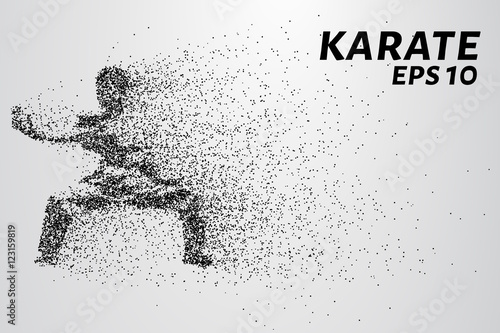 Dekoracja na wymiar  karate-czastek-karate-sklada-sie-z-malych-kolek-ilustracja-wektorowa
