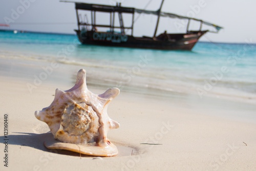 Plage De Sable Blanc De Zanzibar Coquillage Et Boutre Buy