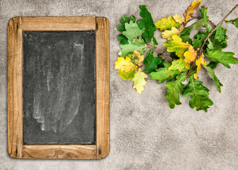 Canvas Print - autumn background. oak leaves vintage chalkboard