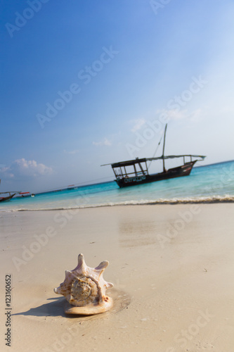 Plage De Sable Blanc De Zanzibar Coquillage Et Boutre Buy