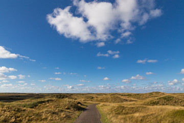 Dune landscape on Texel, Netherlands.