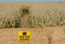 Autumn Halloween Corn Maze With Entrance Sign Posted On Hay Bales