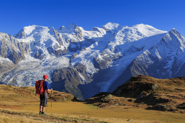 Fototapete - Hiker in a meadow looking towards Mont Blanc, during his hike of the Tour du Mont Blanc.