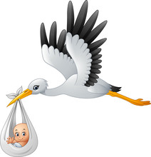 Cartoon Stork Carrying Baby