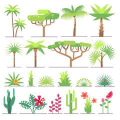 Canvas Print - Different types of tropical plants, trees, flowers flat vector collection