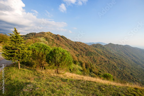 The mountain autumn landscape with colorful forest/woods/trees/colour/autumn/Ita Tableau sur Toile