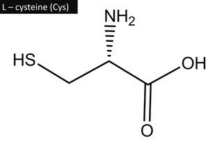 Canvas Print - Molecular structure of L-cysteine