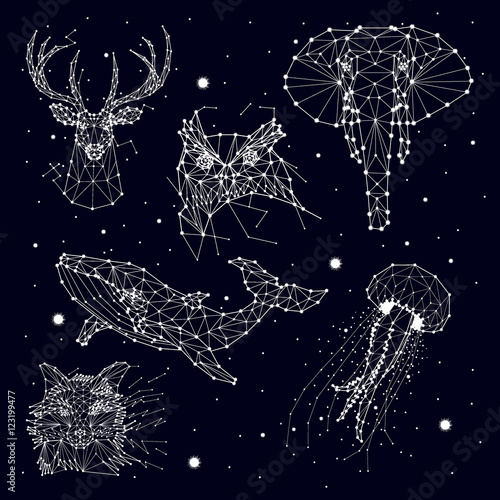 Zdjęcie XXL zestaw konstelacji, słoń, sowa, jelenie, wieloryby, meduzy, lis, gwiazda, grafika wektorowa