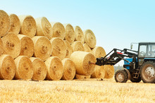 Bales Of Hay In A Field With A Tractor In The Autumn Background