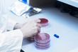 © Connect Images - Scientist marking petri dish with sample