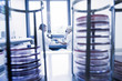 © Connect Images - View from between petri dish racks of scientists chatting in laboratory
