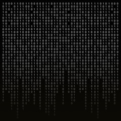 Wall Mural - Binary code on a black background.  algorithm, encryption, encoding matrix.