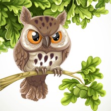 Cute Cartoon Owl Sitting On A Oak Branch Under A Crone Of Leaves