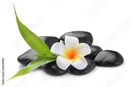 Fototapeta do kuchni zen basalt stones ,frangipani and bamboo isolated on white