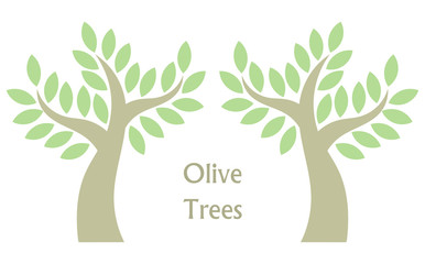 Wall Mural - olive trees vector
