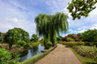 Queen Mary's Rose Gardens in Regent's Park, London, UK.