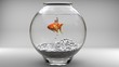 Gold fish in a fishbowl - bubbles